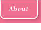 About In the Pink Cleaning